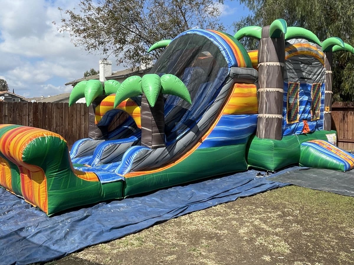 Palm Tree Double Slide Combo